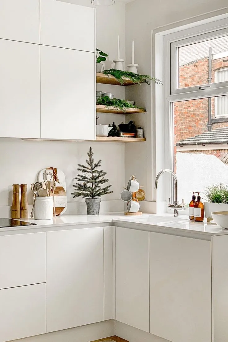 Organic Modern Kitchens