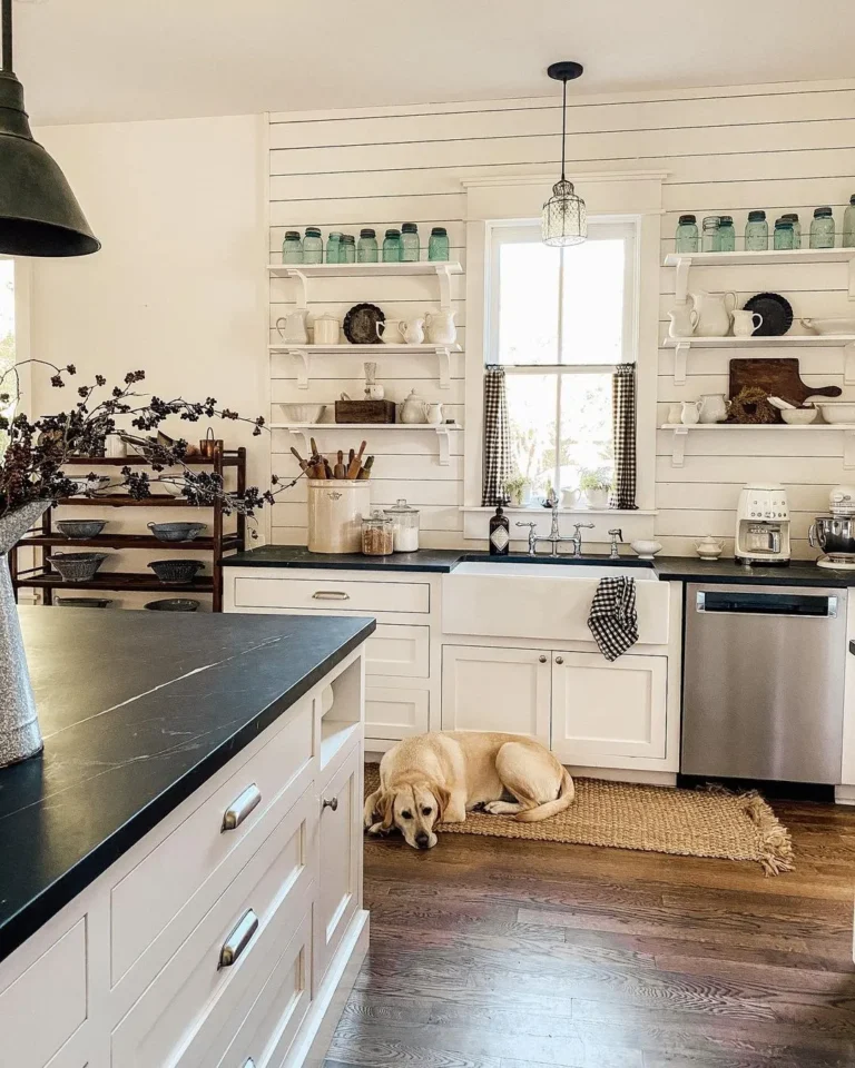 Shiplap Backsplash Kitchen Ideas