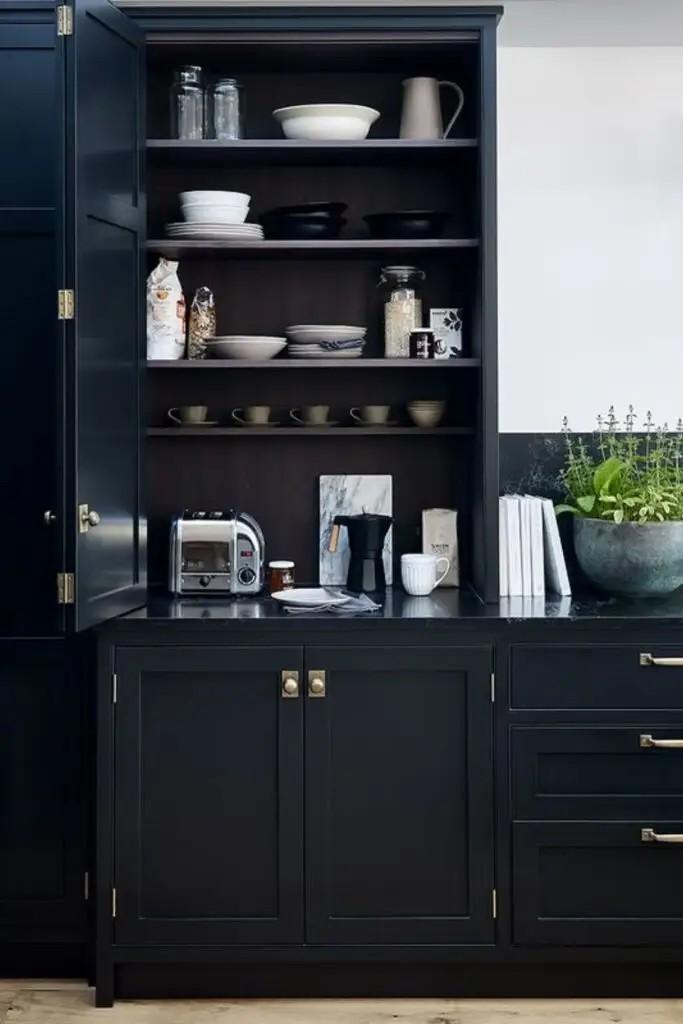 Black kitchen Cabinet Color Ideas