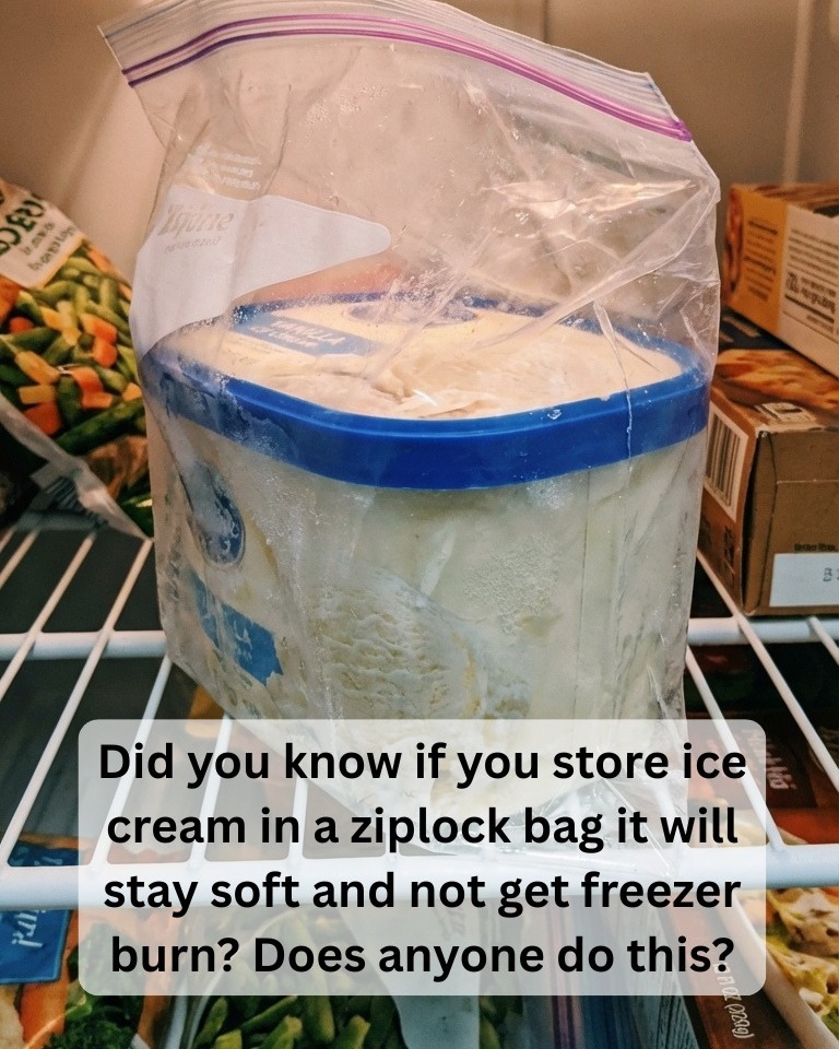 Why You Should Be Putting Your Ice Cream In A Ziploc Bag